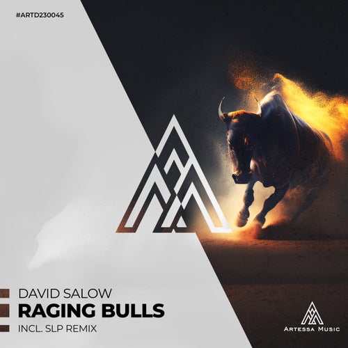 David Salow - Raging Bulls [ARTD230045]